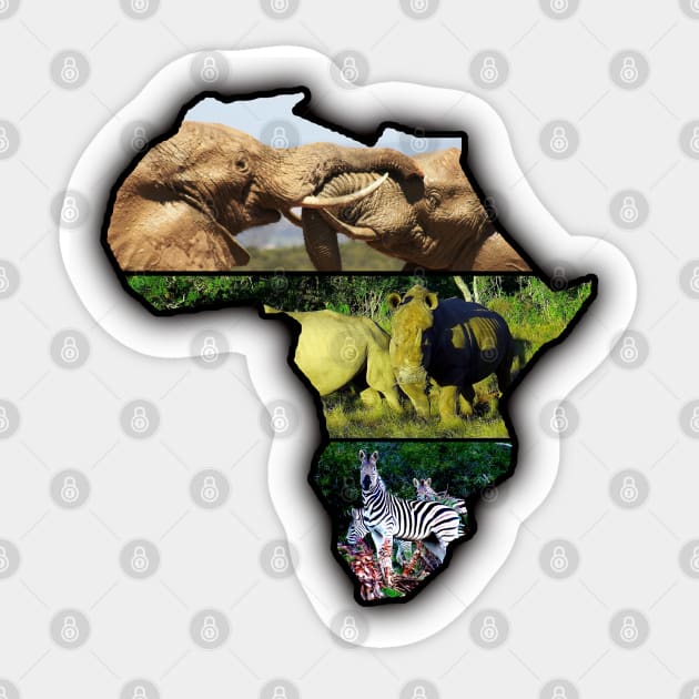 African Wildlife Continent Collage Sticker by PathblazerStudios